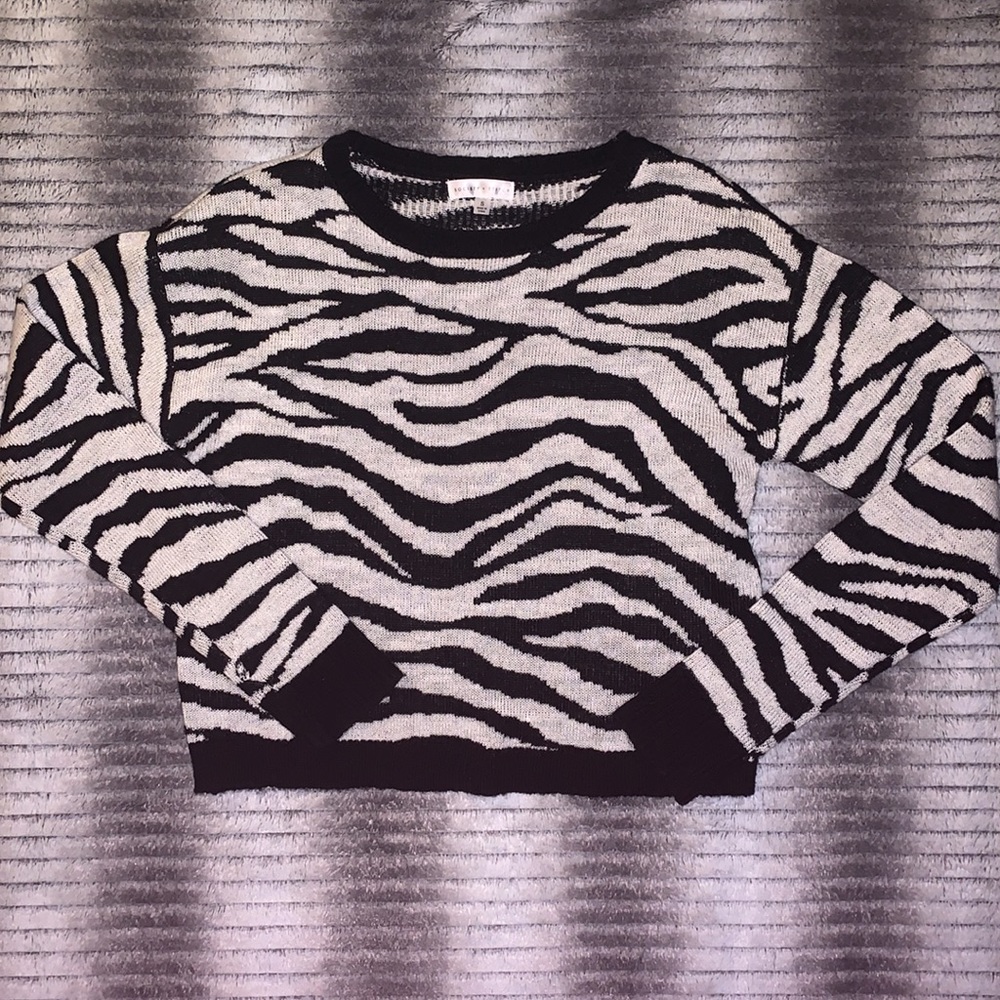 Fuzzy Zebra Set - Picture 2 of 5